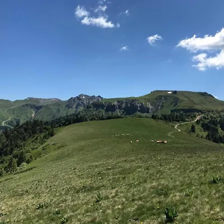 Mont-dore : Beau T2 En Hyper Centre Avec Wifi - Fr-1-608-163 Le Mont-Dore