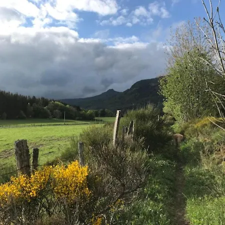 Lejlighed Mont-dore : Beau T2 En Hyper Centre Avec Wifi - Fr-1-608-163 Le Mont-Dore